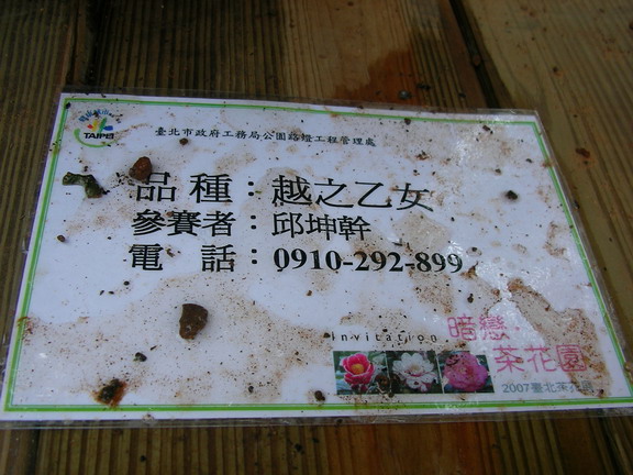 020207056fr4.jpg