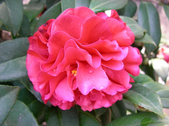 020207067wm6.jpg