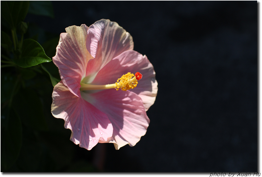IMG_8723C.jpg