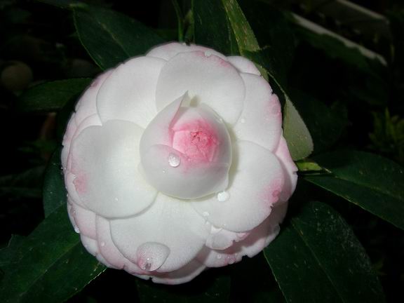 3px3.jpg