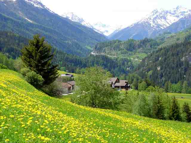 琉森湖區2006.05.24瑞吉.庫爾姆(Rigi_Kulm) 登山齒輪火車站右後方