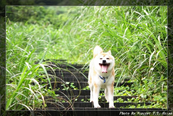 -小粗坑古道獨照之1.JPG