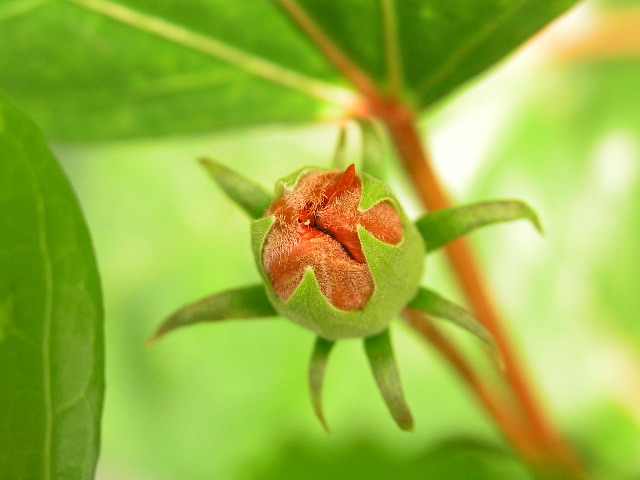 p9091905wp5.jpg